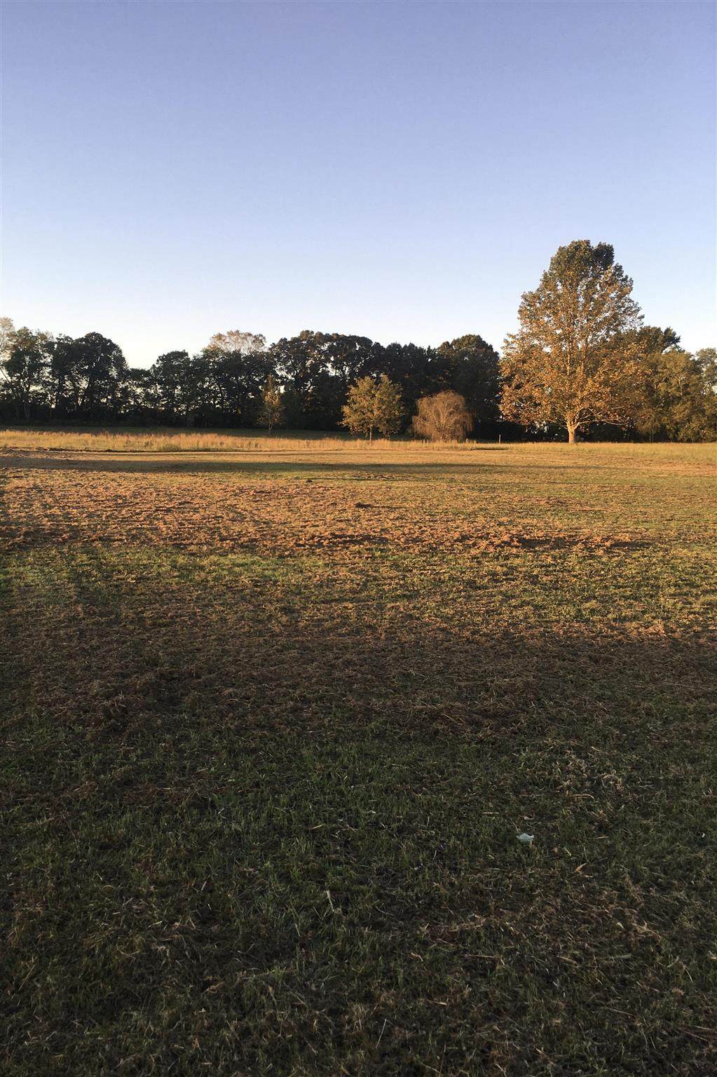 452 Skyview Cir (Lot #41) - Photo 1