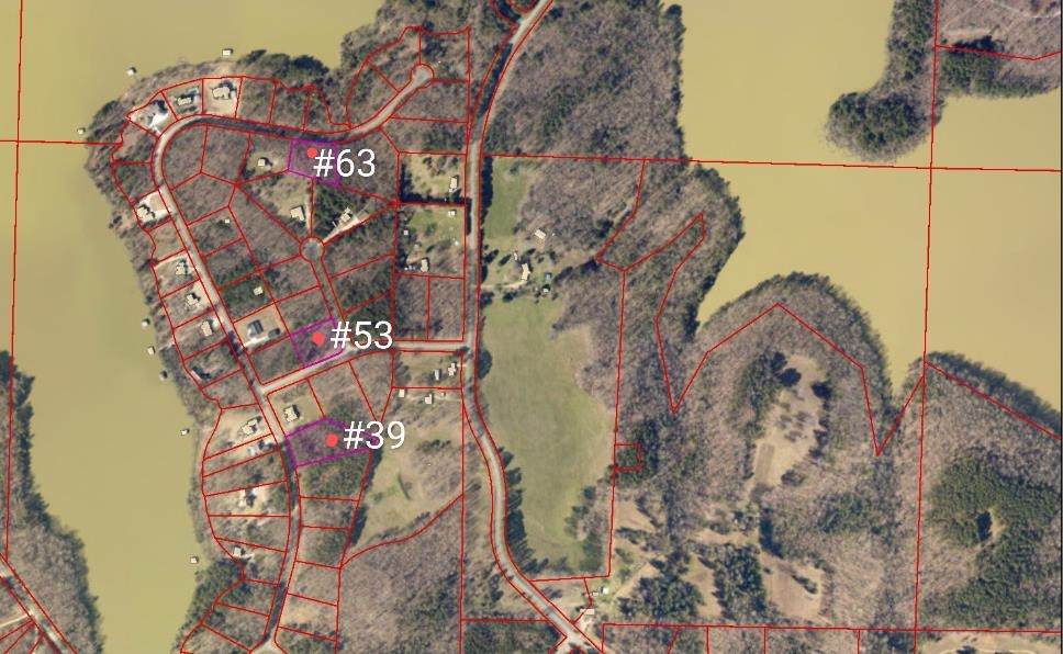 Lot 39 Lake Front Dr - Photo 1