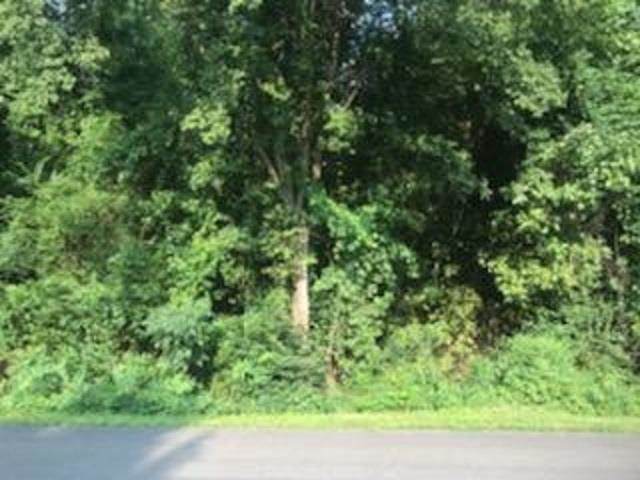 317 Shaler Dr - Photo 1