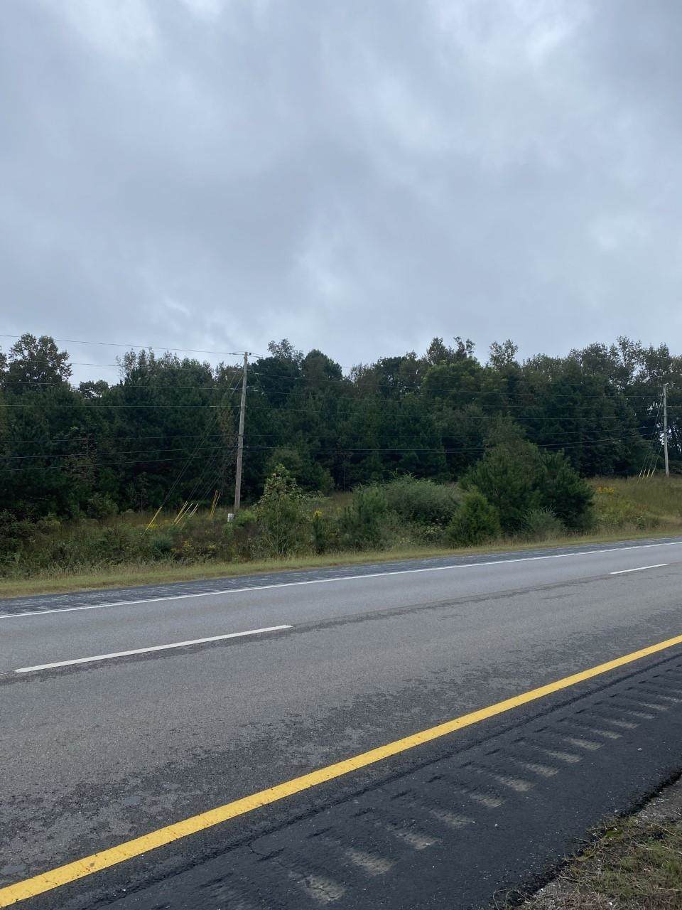 0 Alabama Hwy 157 - Photo 1