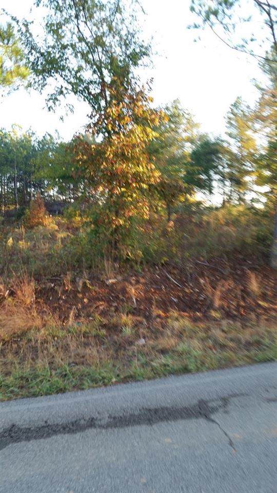 6383 Co Rd 50 - Photo 1