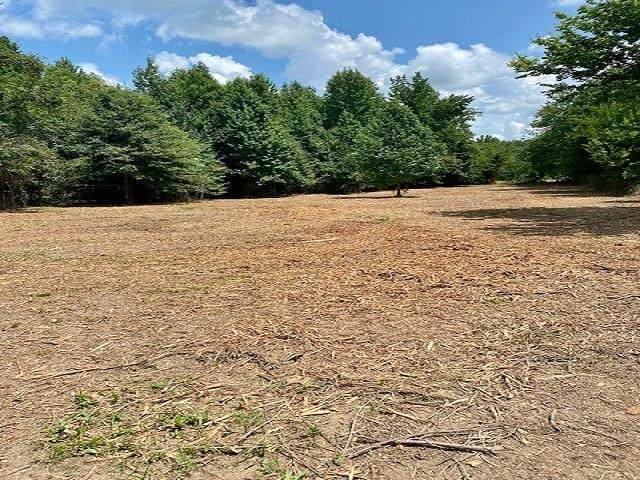0000 Co Rd 106 - Photo 1