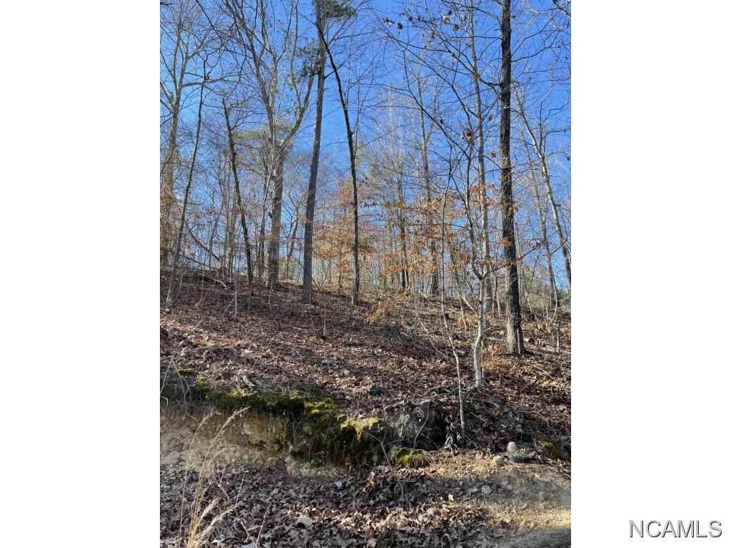 0 Co Rd 372 - Photo 1