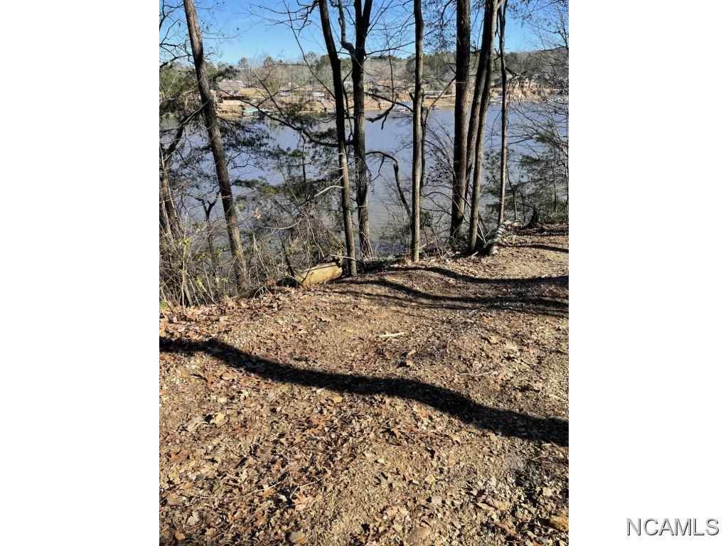 0 Co Rd 372 - Photo 1