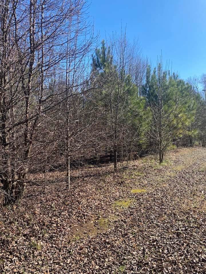 000 Miller St - Photo 1