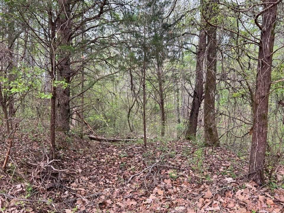 0000 Allen Ln - Photo 1