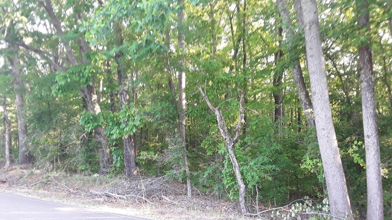 0 Co Rd 7 - Photo 1