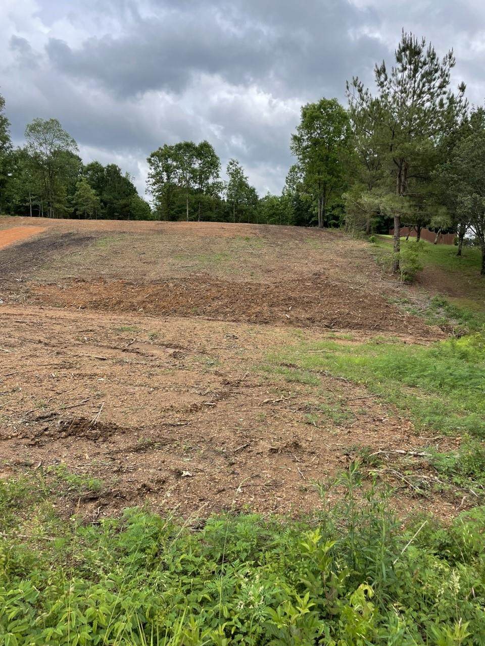 00 Ridgecrest Ln - Photo 1