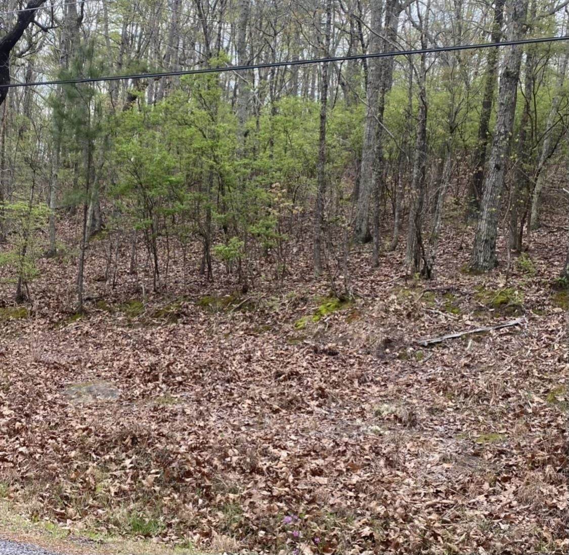 0 Timber Trl - Photo 1