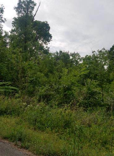 89 Shoals Overlook Dr - Photo 1