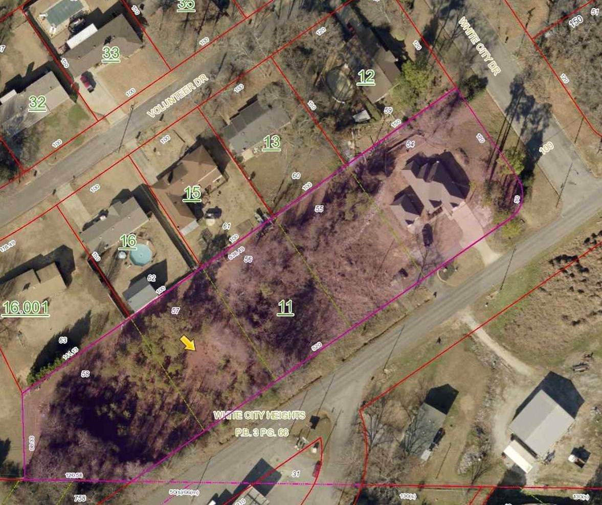 Lot 57 Old Lee Hwy - Photo 1