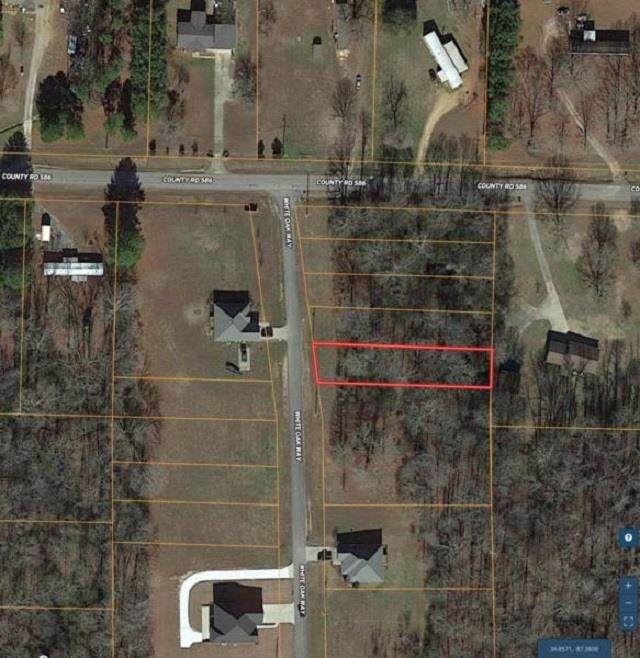 White Oak Way - Photo 1