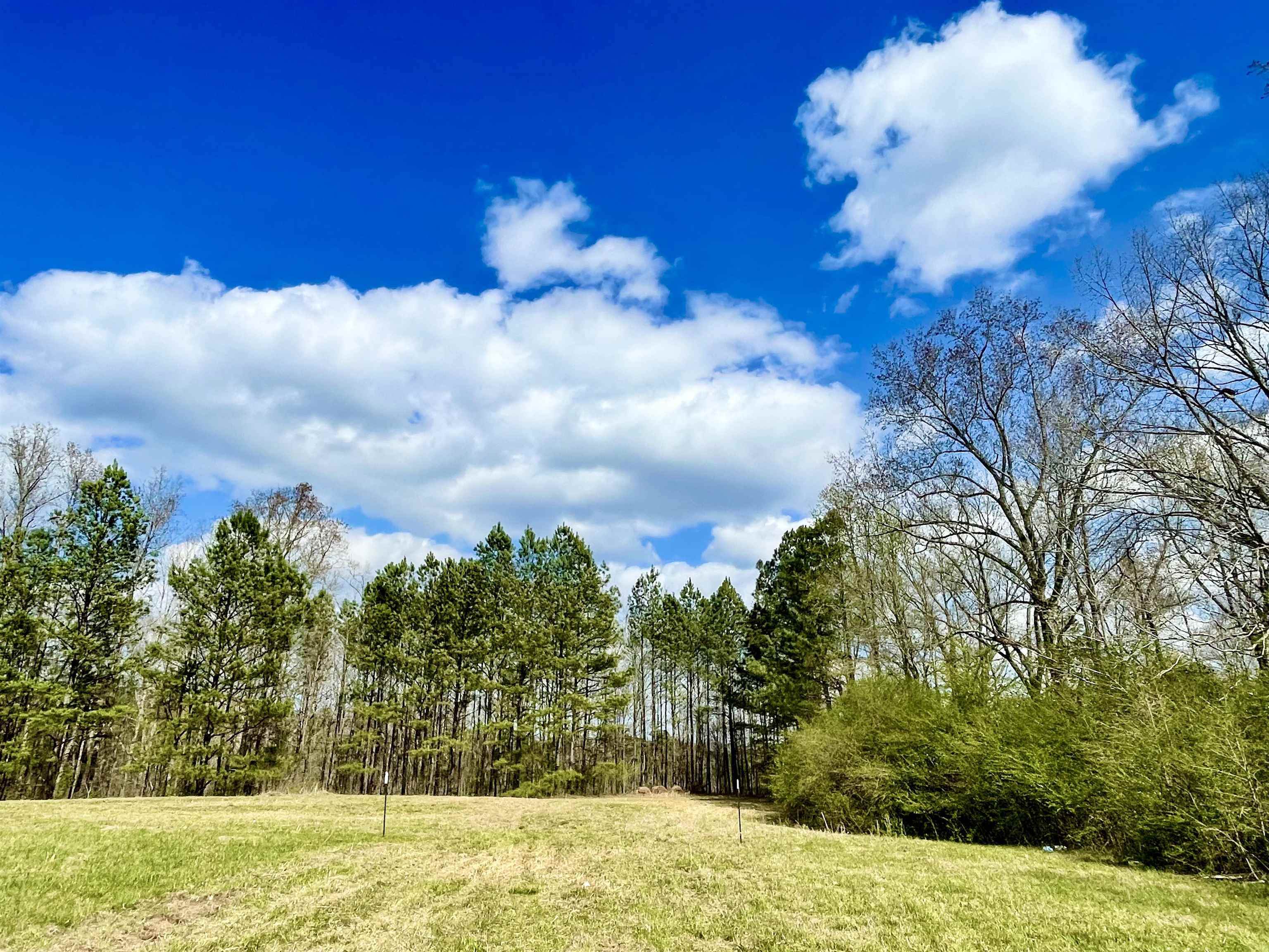 802 Co Rd 503 - Photo 1
