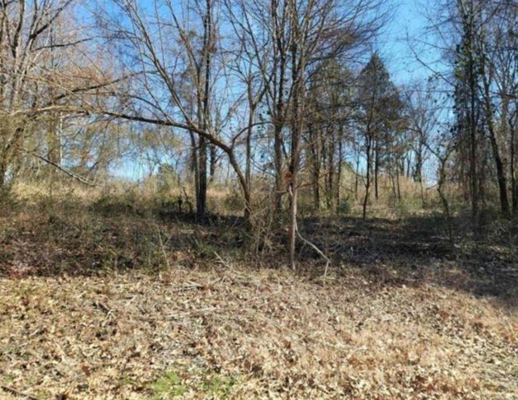 00 Bainbridge Cir - Photo 1