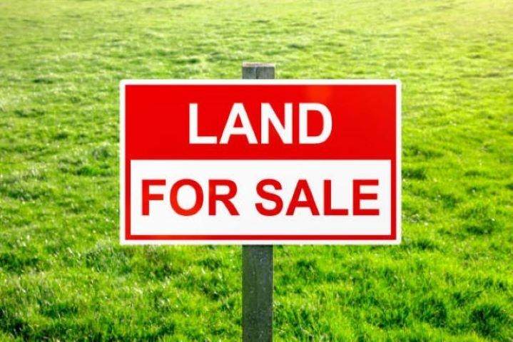 Lot 4 Co Rd 639 - Photo 1