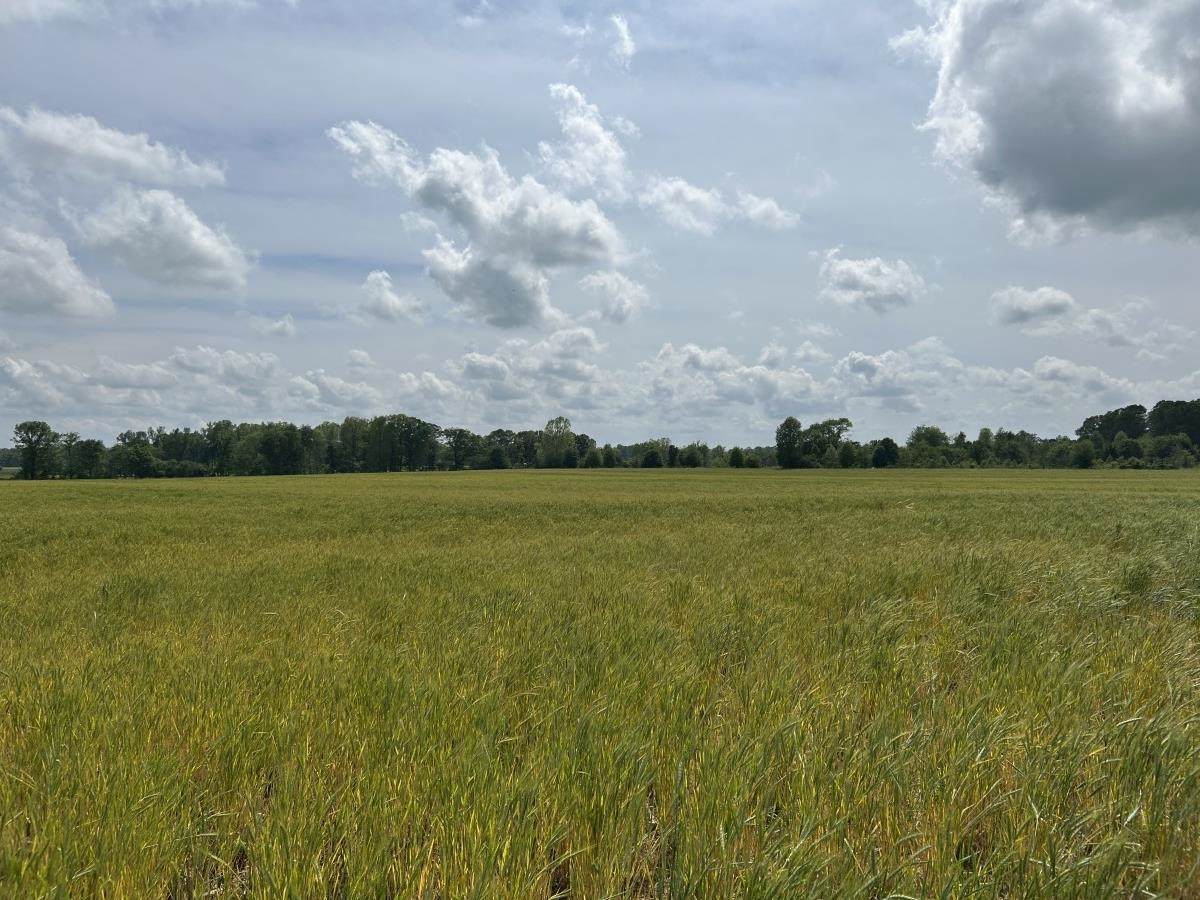  Hwy 64 - Photo 1