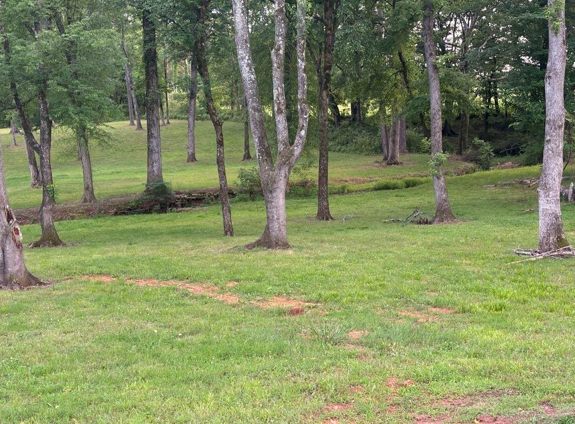 00 Co Rd 30 - Photo 1