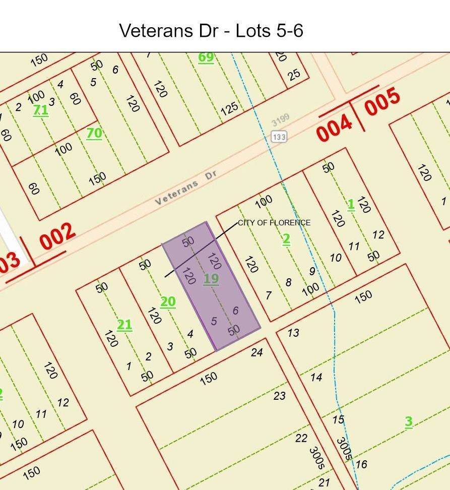 0 Veterans Dr - Photo 1