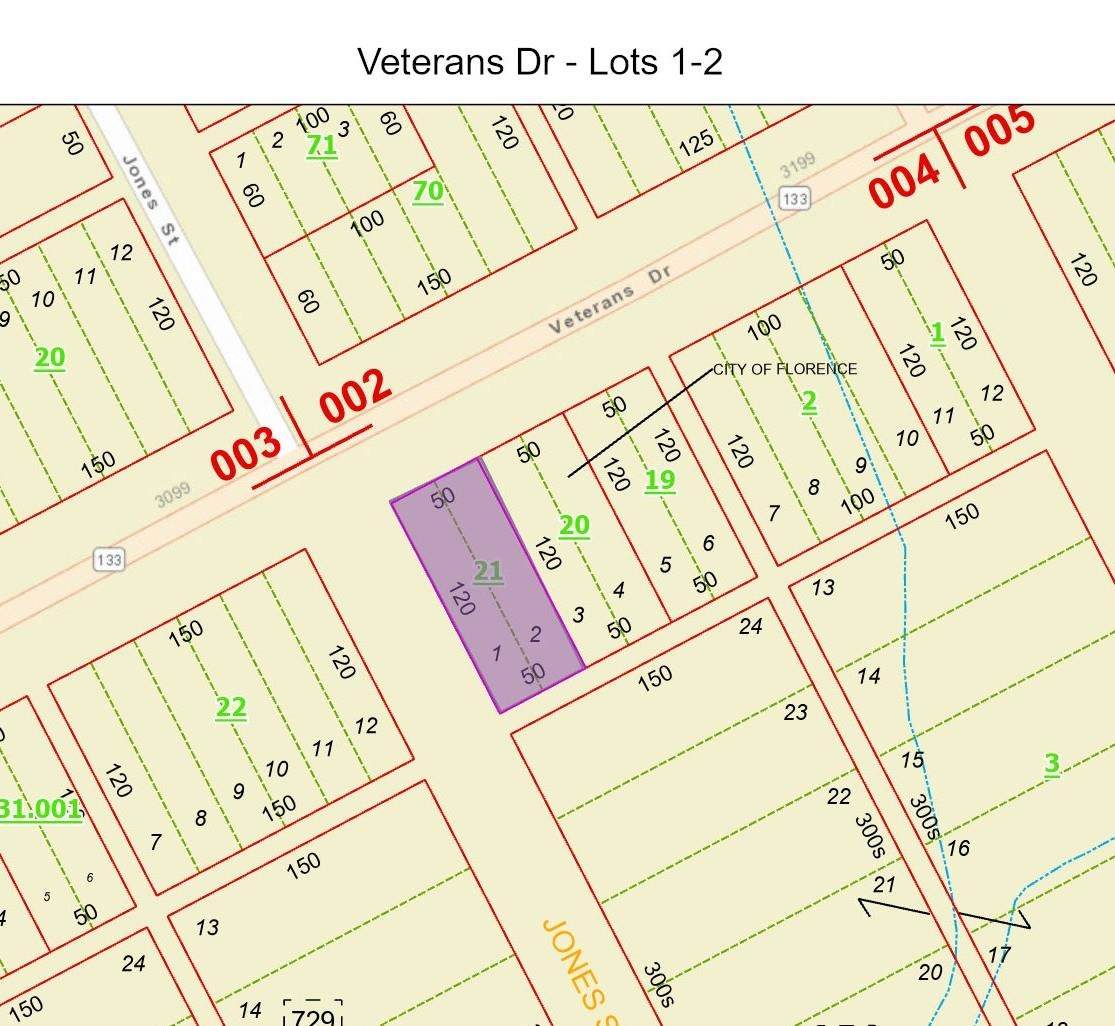 0 Veterans Dr - Photo 1