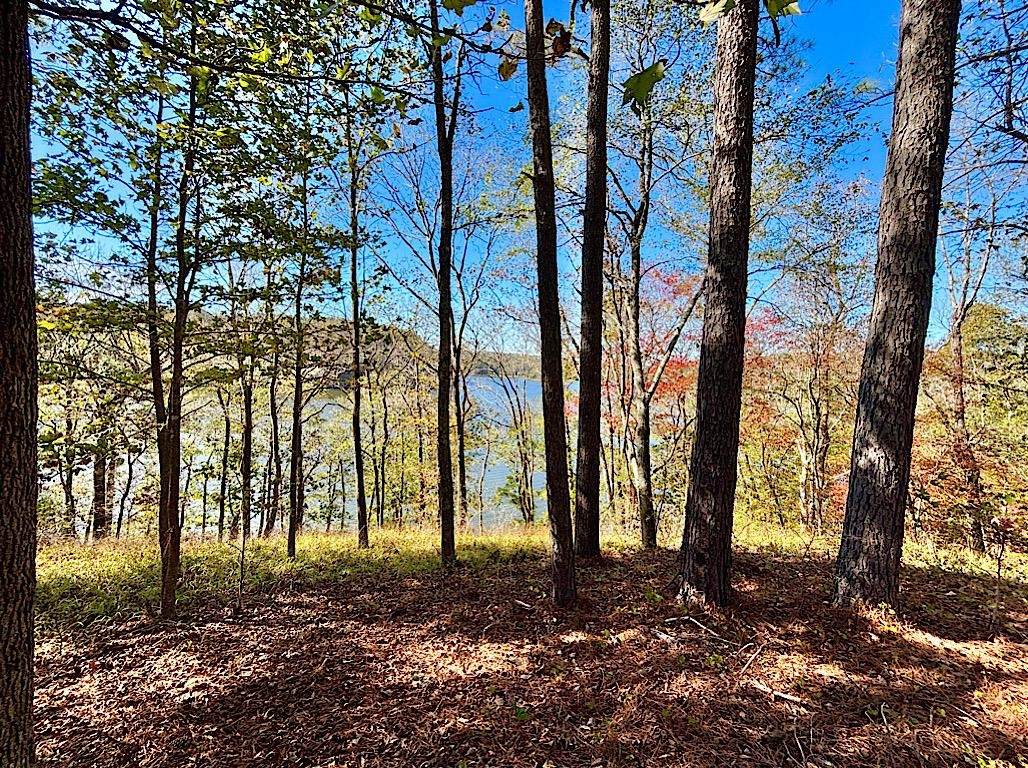 0 Eagle Port Rd - Photo 1