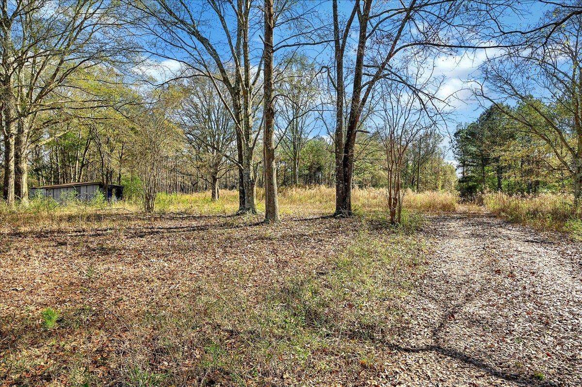 78 Co Rd 640 - Photo 1