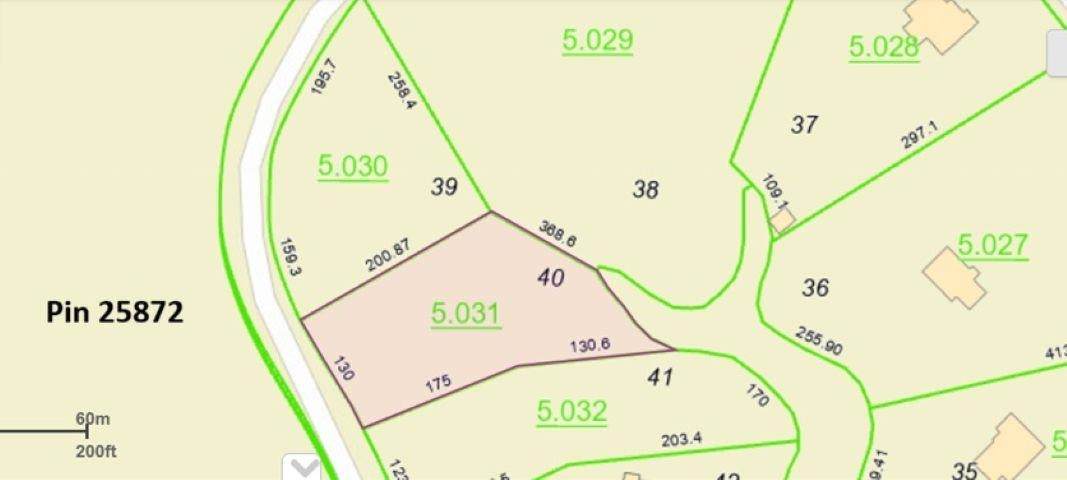 Lot 40 Sipsey Pines Rd - Photo 1