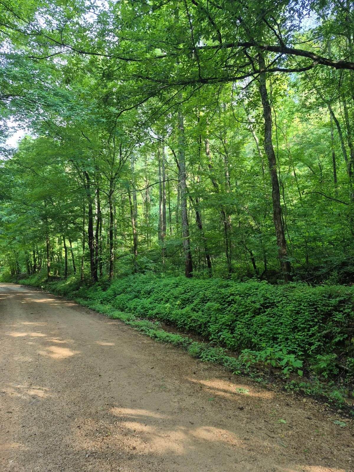 0 Co Rd 462 - Photo 1