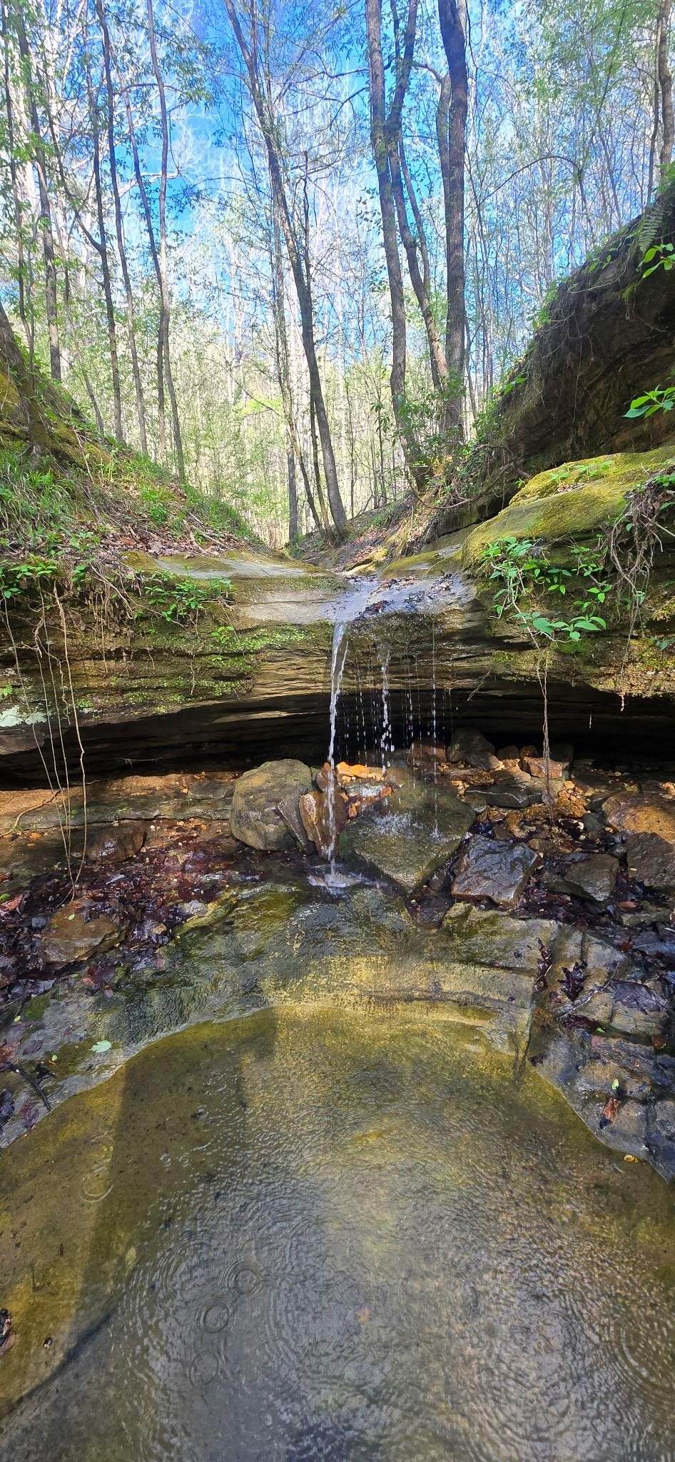 000 Frankfort Rd - Photo 1