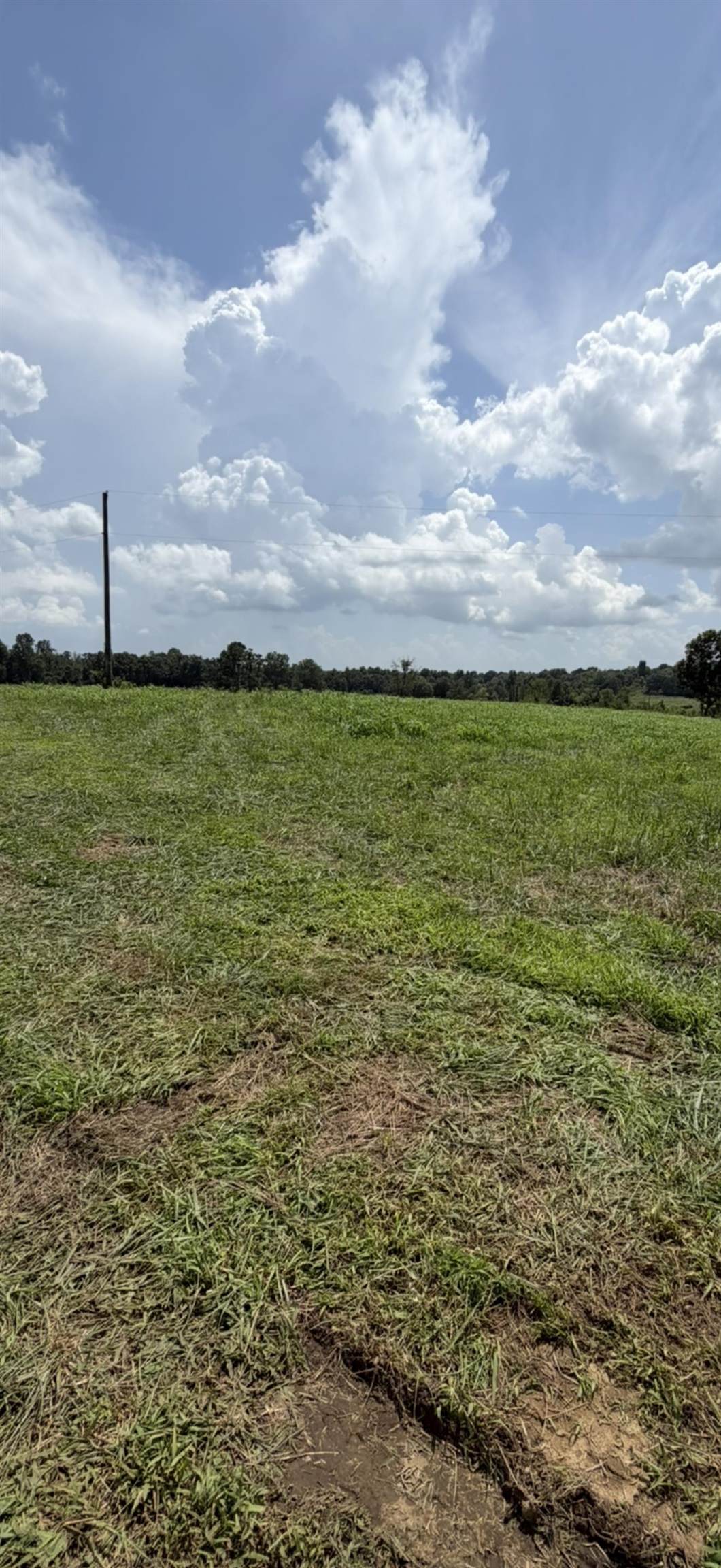 0 Hwy 89 - Photo 1