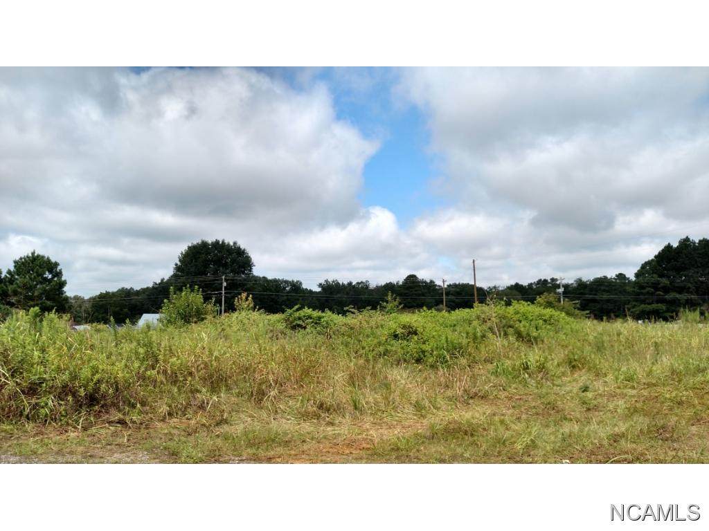 0 Co Rd 1339 - Photo 1