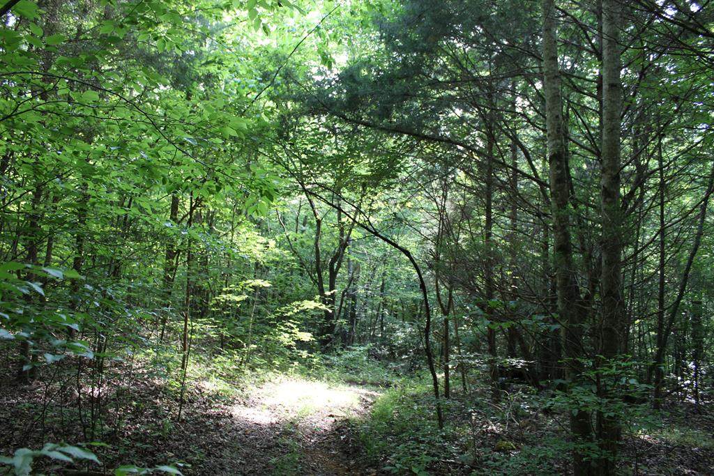 00 State Line Rd - Photo 1