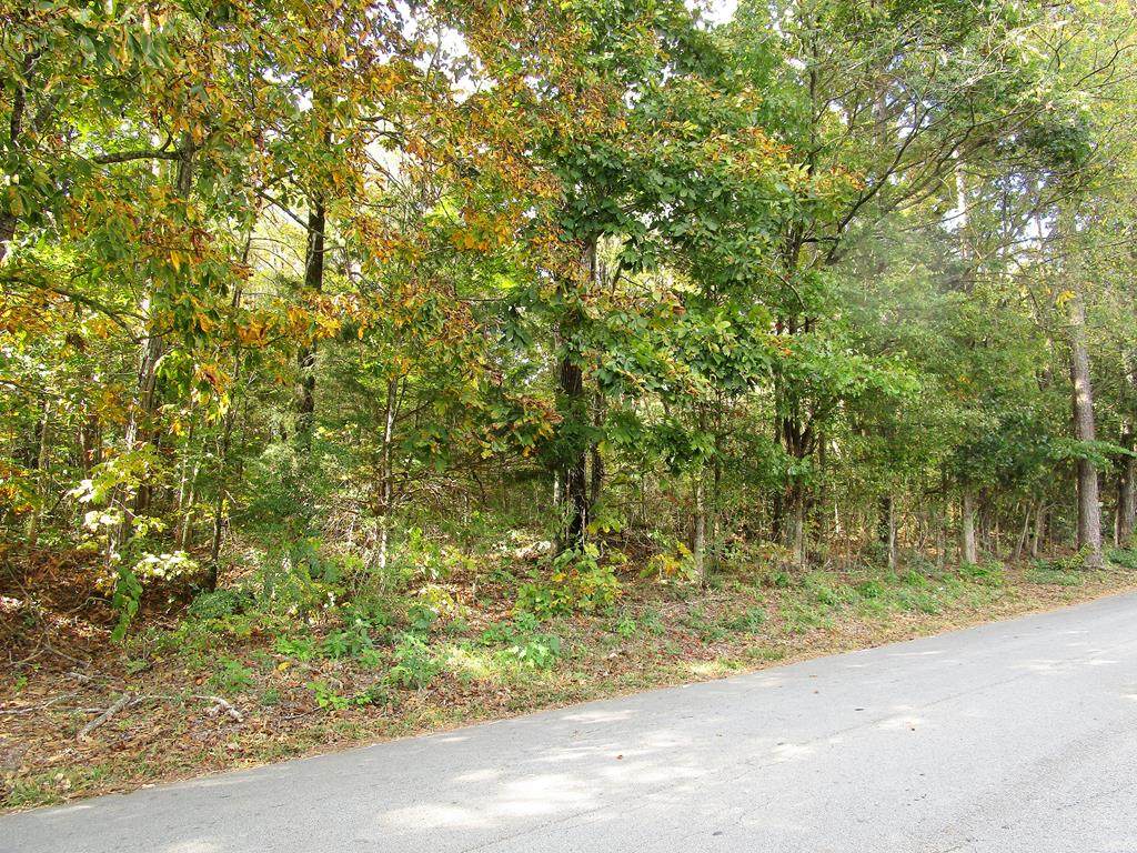 00 Carney Ln - Photo 1
