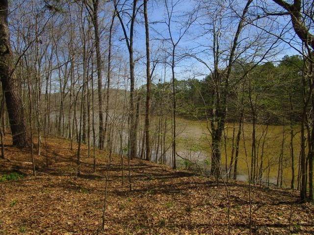 0 Hwy 16 - Photo 1