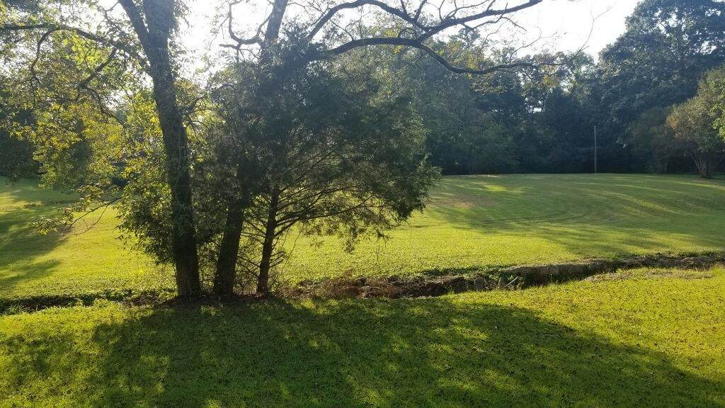 00 Cedar Cove Rd - Photo 1
