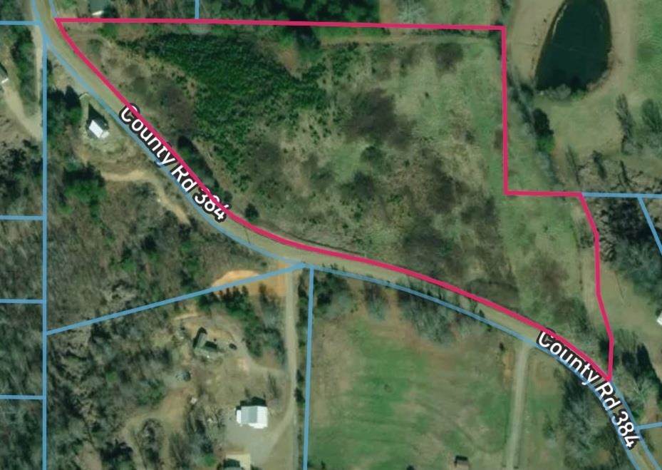 0 Co Rd 384 - Photo 1