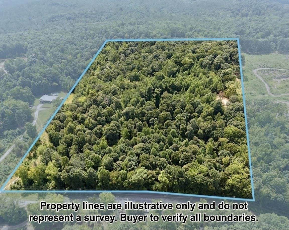 0 Mt Mills Rd - Photo 1