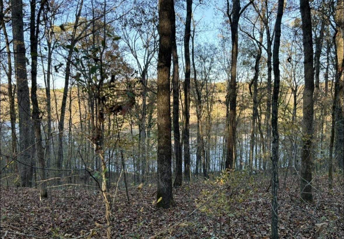 0 Co Rd 585 - Photo 1