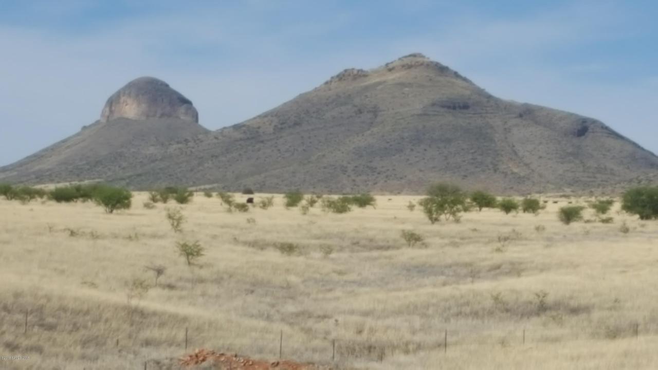 15.84 Acre Mustang Ranch Road - Photo 1