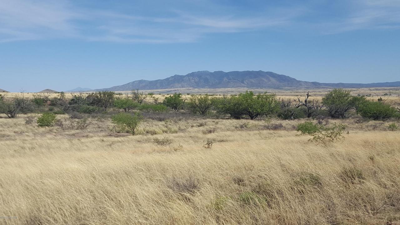 Lot 1 Mustang Ranch Road - Photo 1