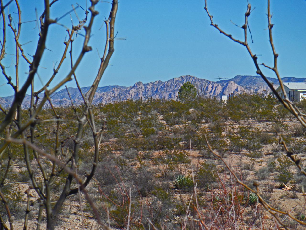 Tbd San Pedro Way - Photo 1