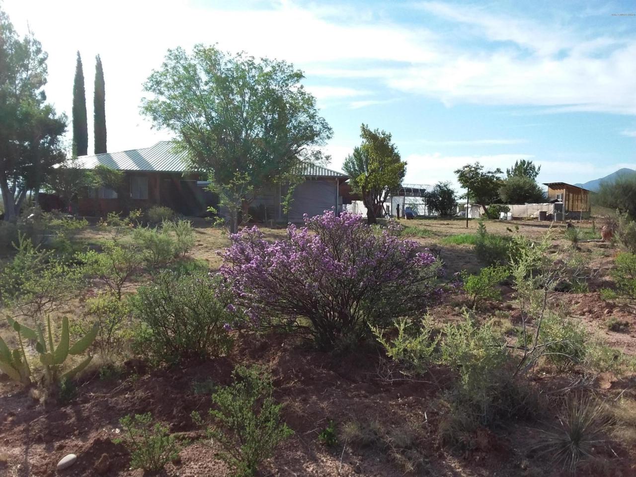 10940 Calle Venado - Photo 1
