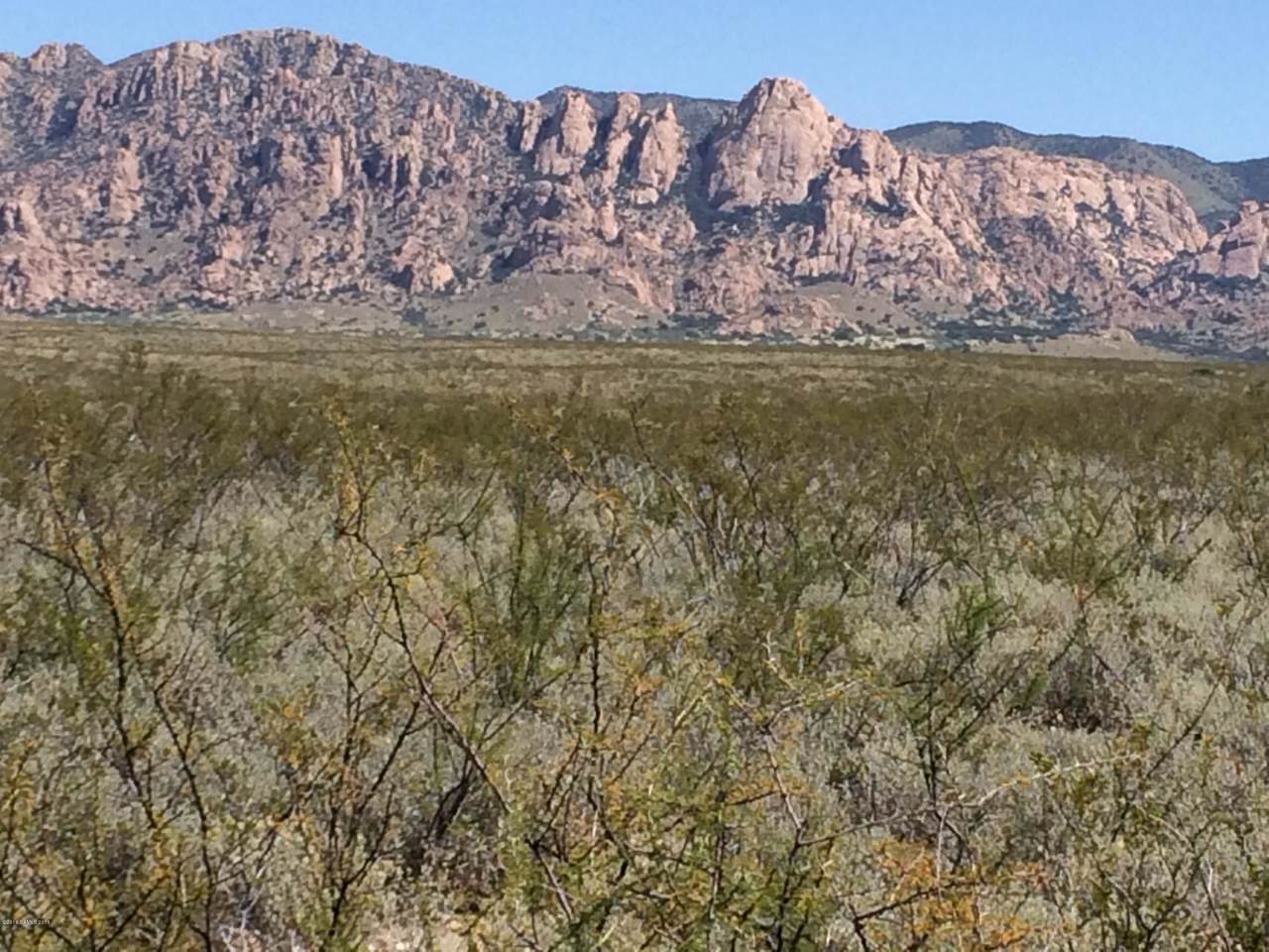 Lot 17 Tombstone Territory Ranches - Photo 1