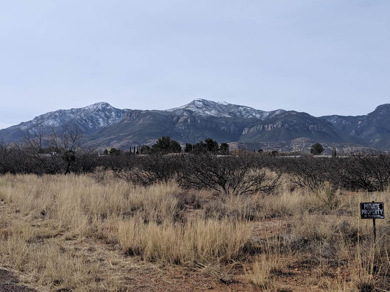 4.81 Acres Louise Avenue - Photo 1