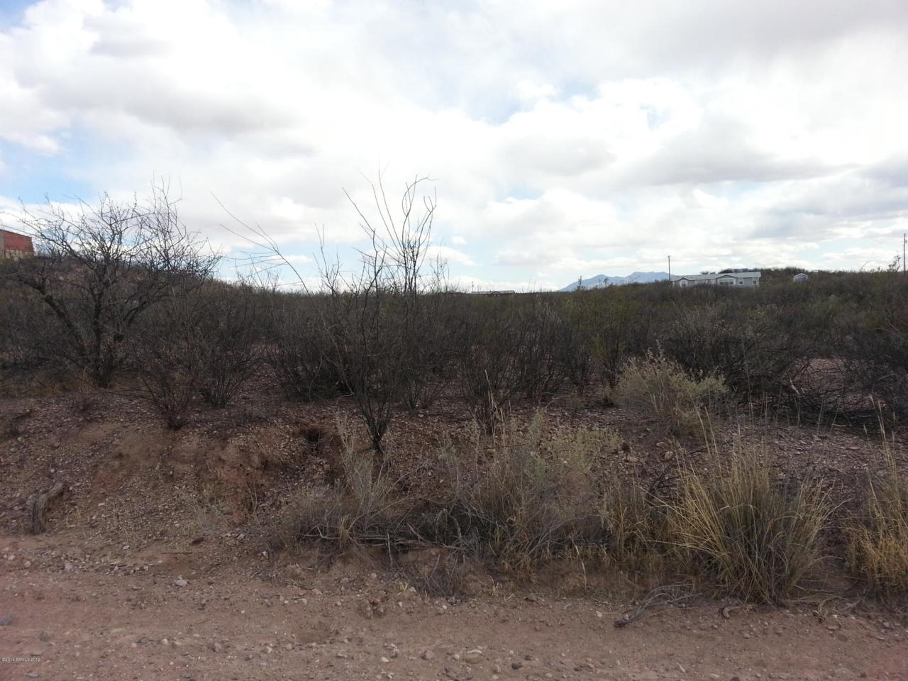 Tbd Willcox Road - Photo 1