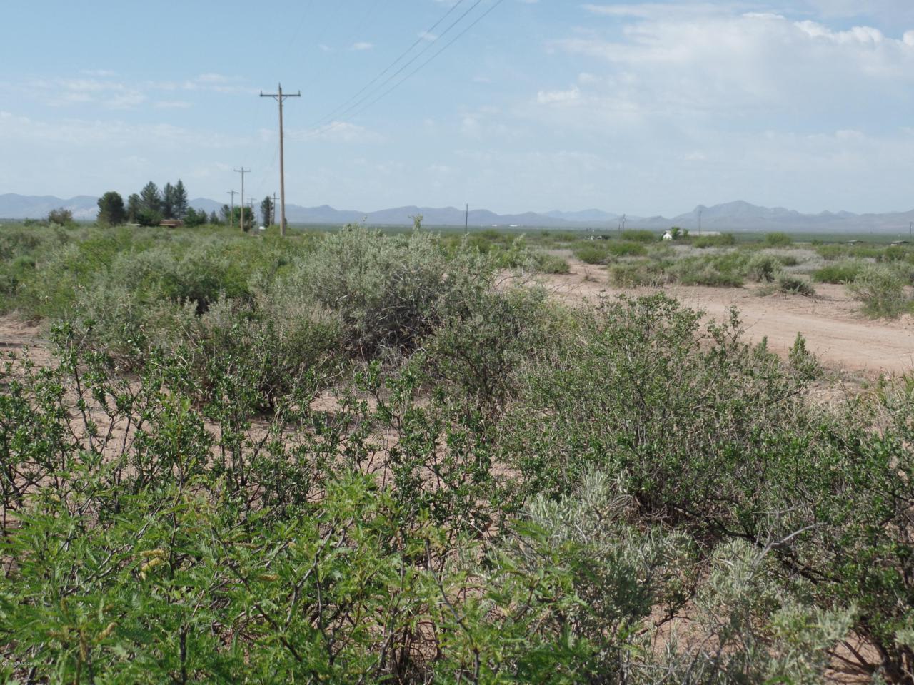 Tbd Lots 1 And 4 Wiggins Road - Photo 1