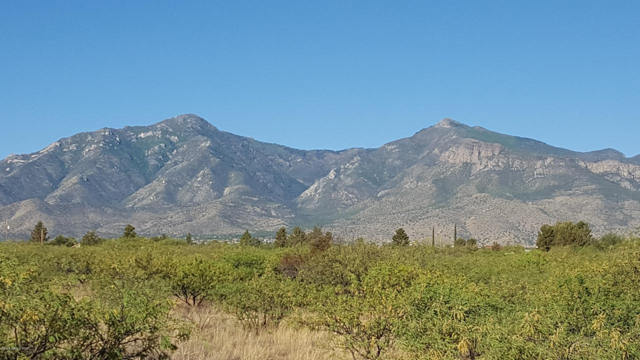 Tbd Lizard Trail - Photo 1