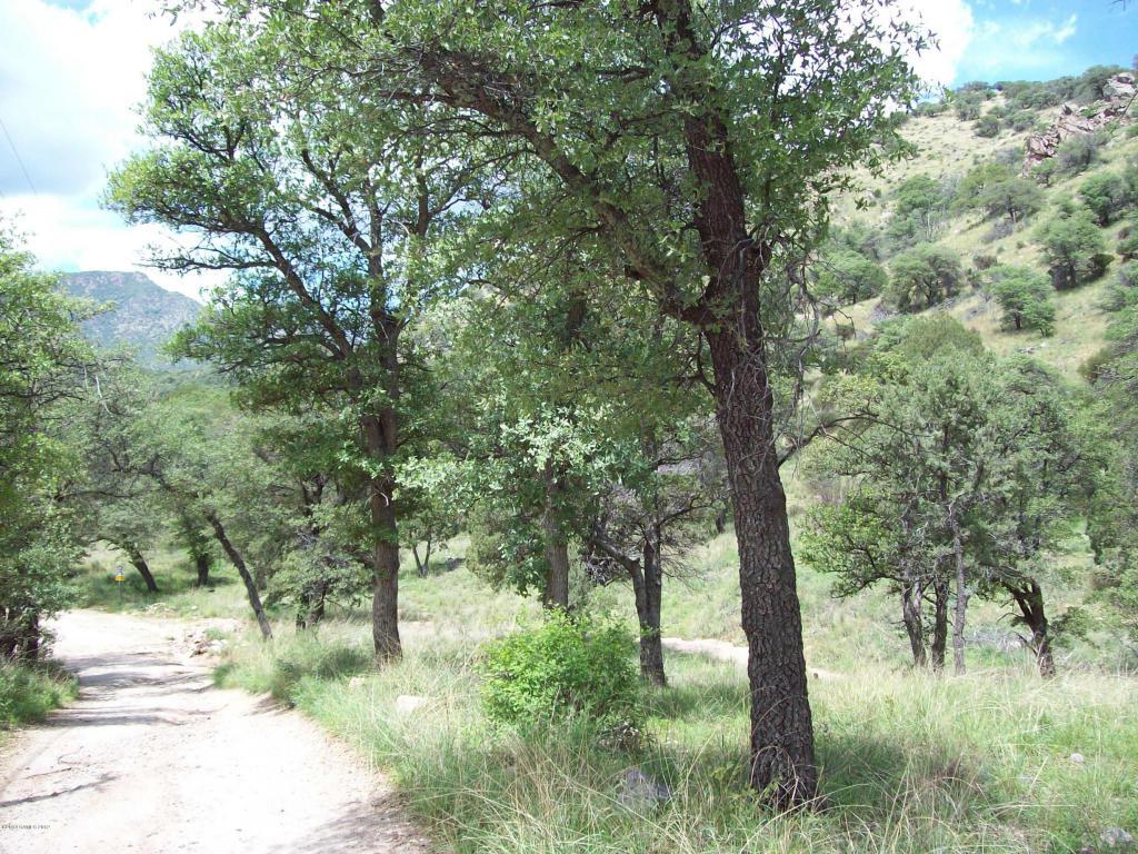 Parcel B Ramsey Canyon - Photo 1