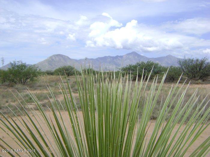 Tbd Cactus Ranch Road - Photo 1