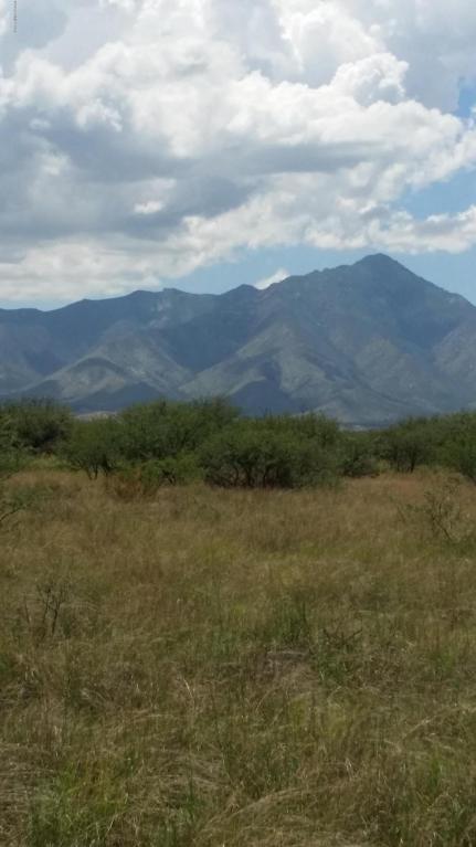 90a Adam Trail - Photo 1