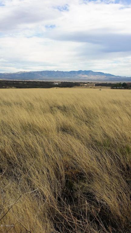 Lot 13 Deer Ridge Trail - Photo 1